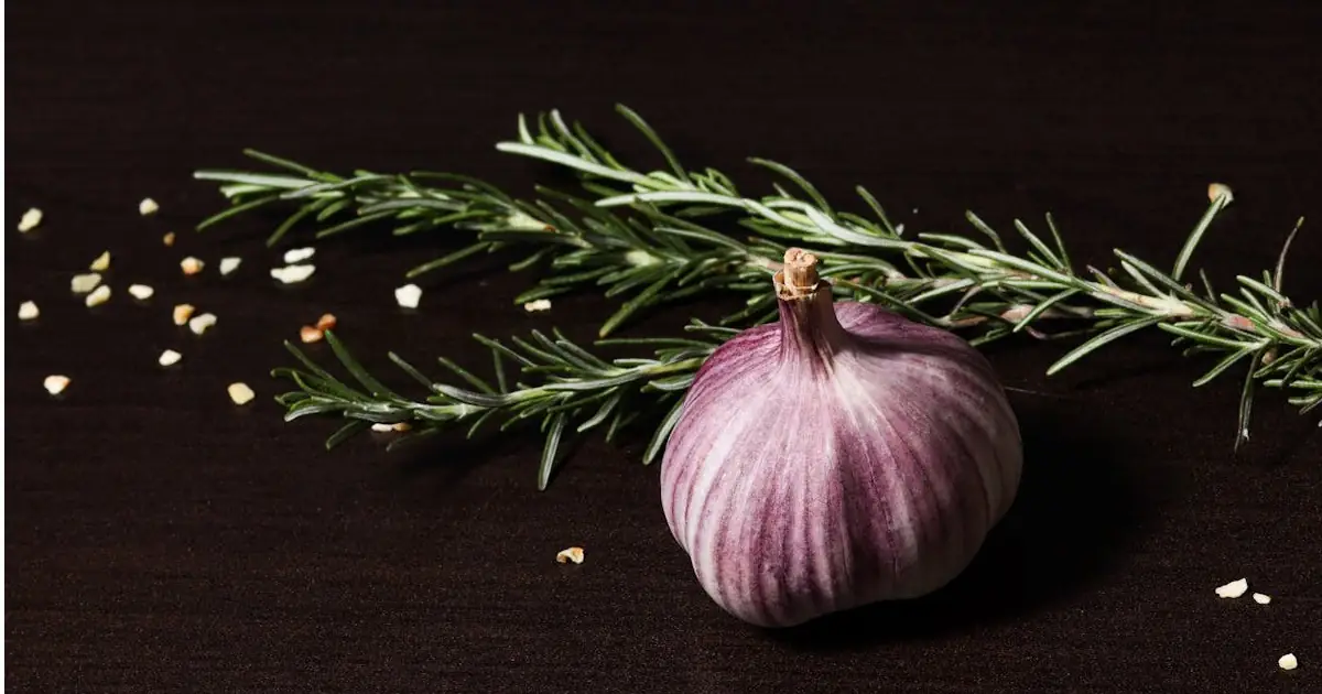 Garlic and Heart Health: How Garlic May Support Blood Pressure, Cholesterol, and Circulation