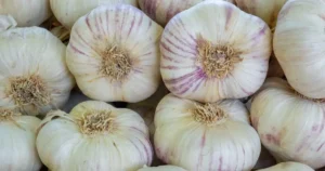 Read more about the article Garlic as a Natural Antibiotic: What Science Says (and What’s a Myth)