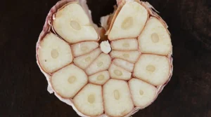 Read more about the article Does Garlic Kill Parasites in Humans? What Science Really Says (Pinworms, Giardia & More)