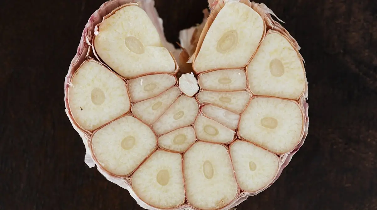 Does Garlic Kill Parasites in Humans? What Science Really Says (Pinworms, Giardia & More)