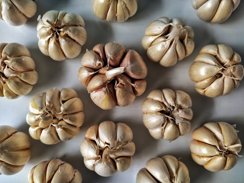 Garlic bulbs with big cloves on white background