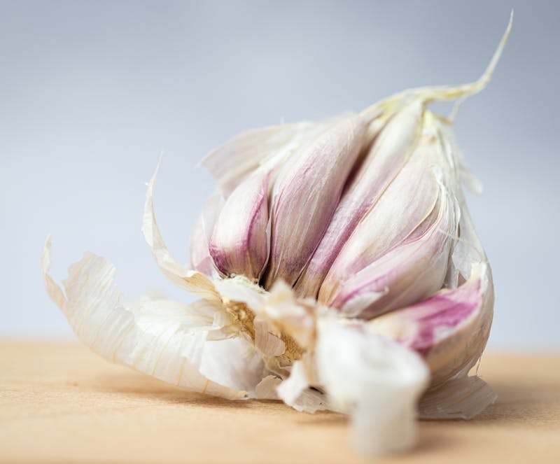 fresh garlic bulb 