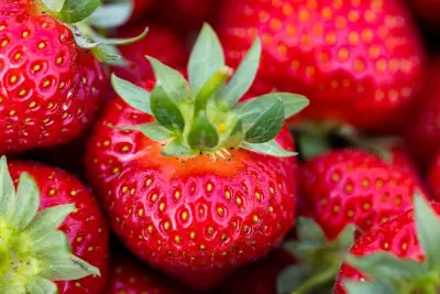 fresh juicy strawberries