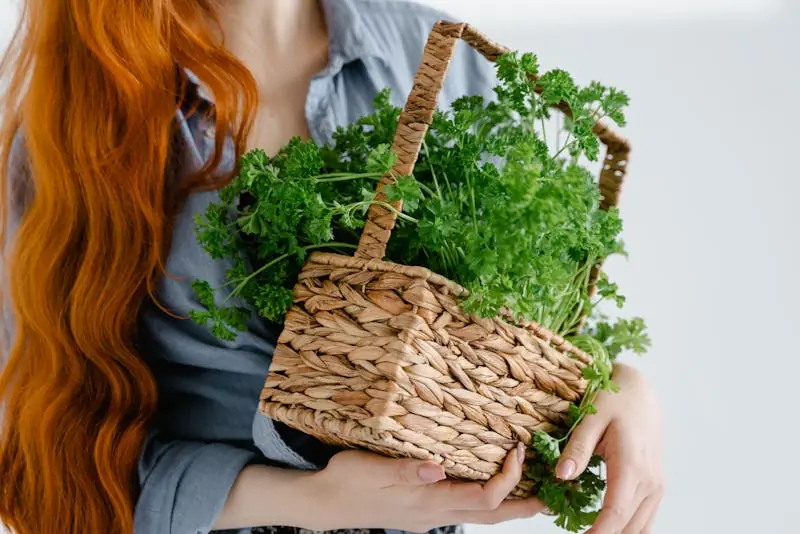 fresh parsley in a wicker basket