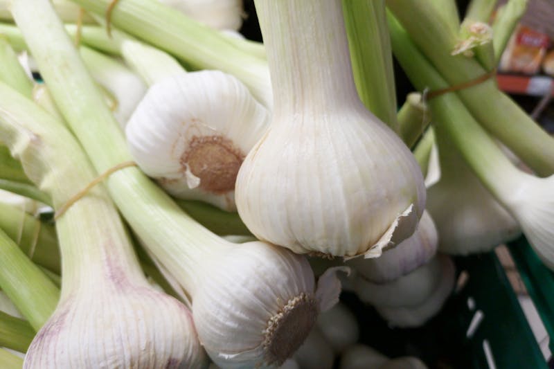 fresh young garlic bulbs