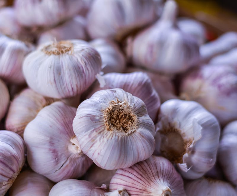 many garlic bulbs close up
