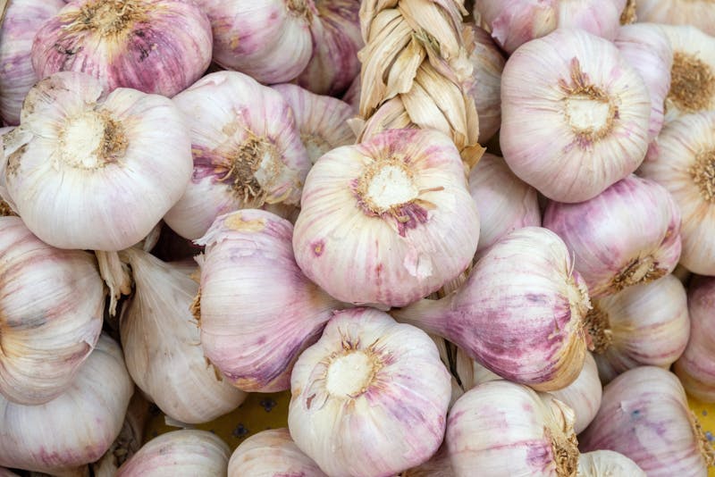 white-purple garlic bulbs illustrating garlic nutrition