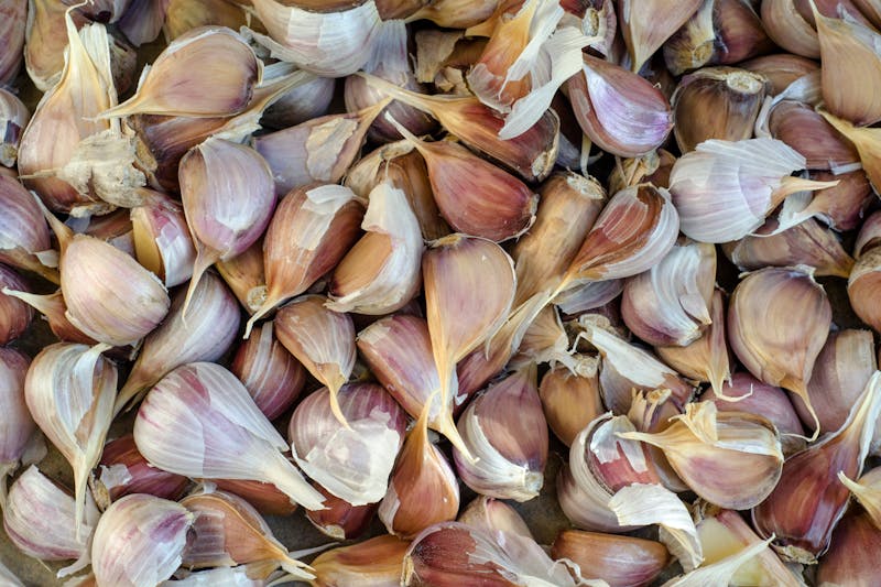 Lots of raw garlic cloves