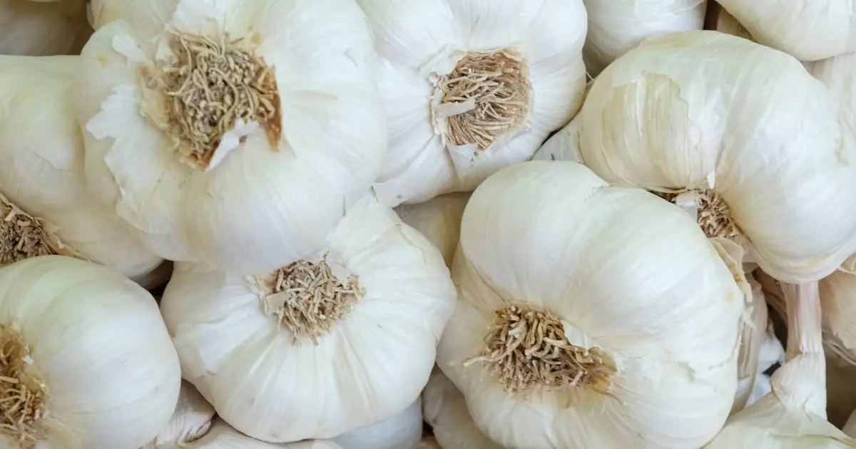 Can Garlic Lower Blood Sugar? (What Science Says + How to Use It)