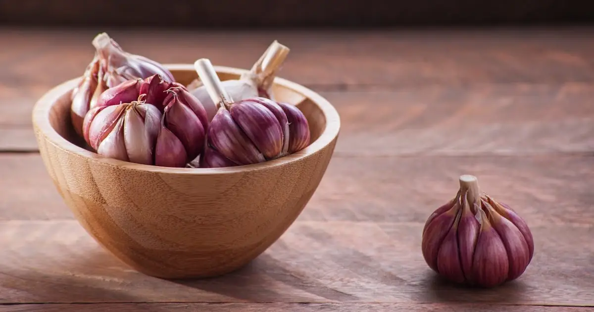 Can Babies Eat Garlic at 6 Months? Is It Safe and How to Introduce It