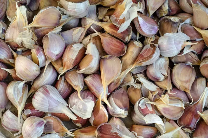 Close-up of multiple purple garlic cloves