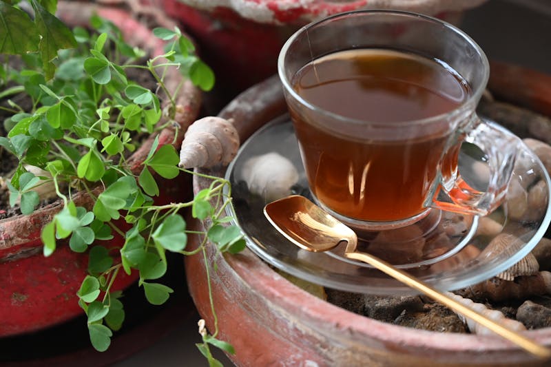 amber-colored lemon balm infusion in a glass