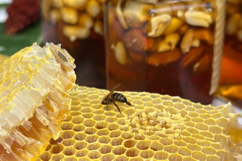 bee on honeycomb with jars of honey and garlic in the background