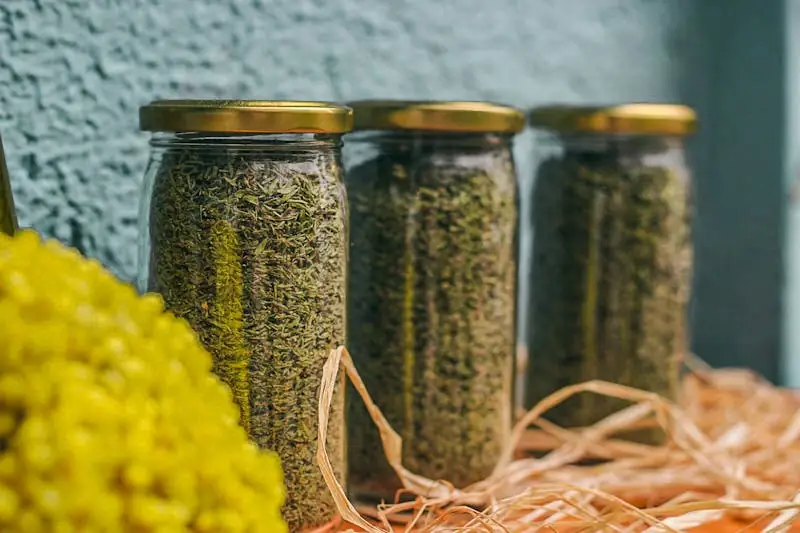 Herbs stored in jars. Thyme close up, lemon balm in the background