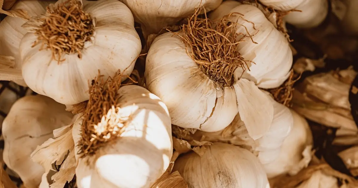 Garlic Intolerance vs Allergy: Symptoms, Differences, and How to Tell