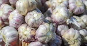 Read more about the article Can Garlic Help with Menopause Symptoms Like Hot Flashes? What to Expect