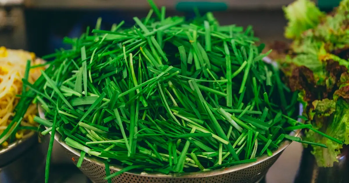 Garlic vs Garlic Chives: What’s the Difference?
