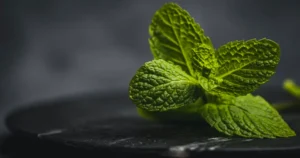 Read more about the article Lemon Balm for Sleep: Benefits, Best Time to Drink It, and Possible Side Effects