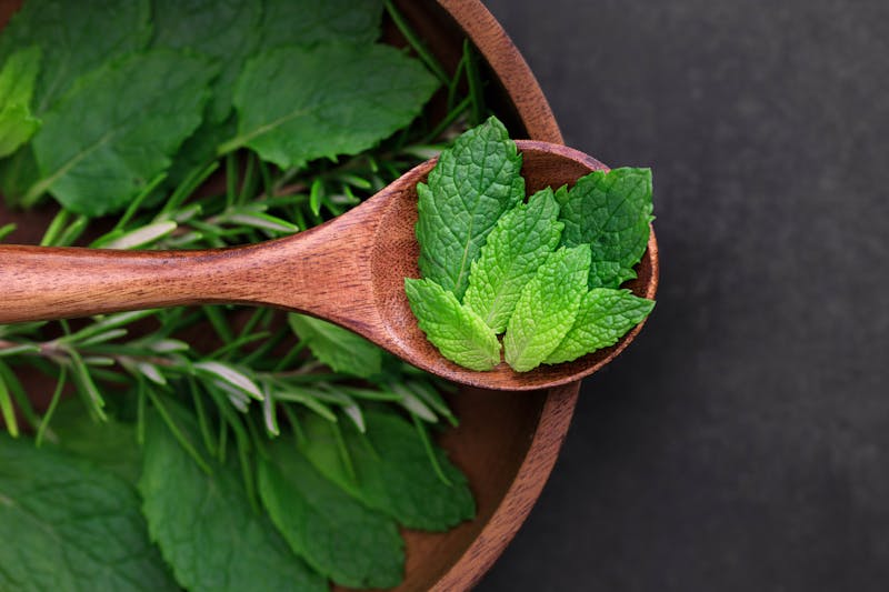 fresh melissa officinalis leaves on a wooden spoon