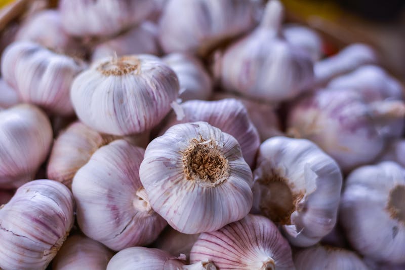 Garlic bulbs close-up