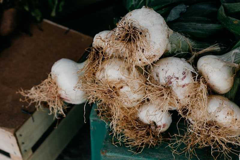 garlic for allergies natural antihistamine concept with garlic bulbs
