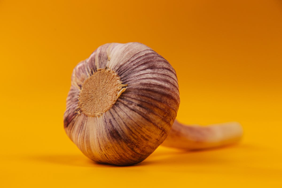Does Garlic Help with Fungal Infections? Antifungal Benefits Explained