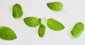 Read more about the article Can Babies Drink Lemon Balm Tea? Safety, Age, and What Parents Should Know