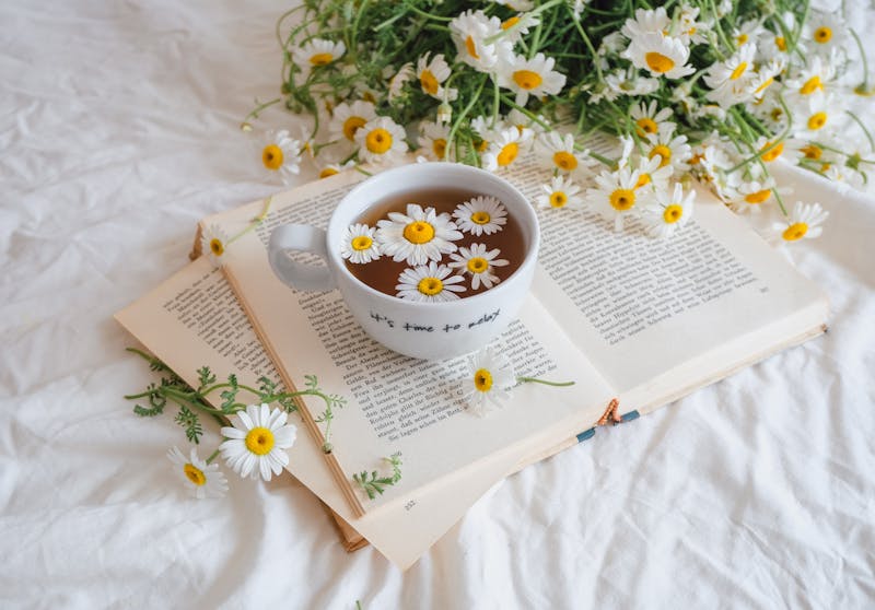 chamomile and lemon balm infusion and fresh chamomile flowers in nearby