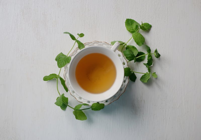 a cup of chamomile tea and fresh melissa bushes near