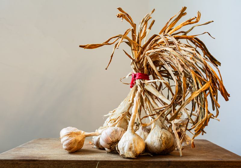 garlic tied with stems