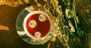 Read more about the article Lemon Balm and Chamomile for Sleep: Can This Herbal Tea Help You Relax Before Bed?