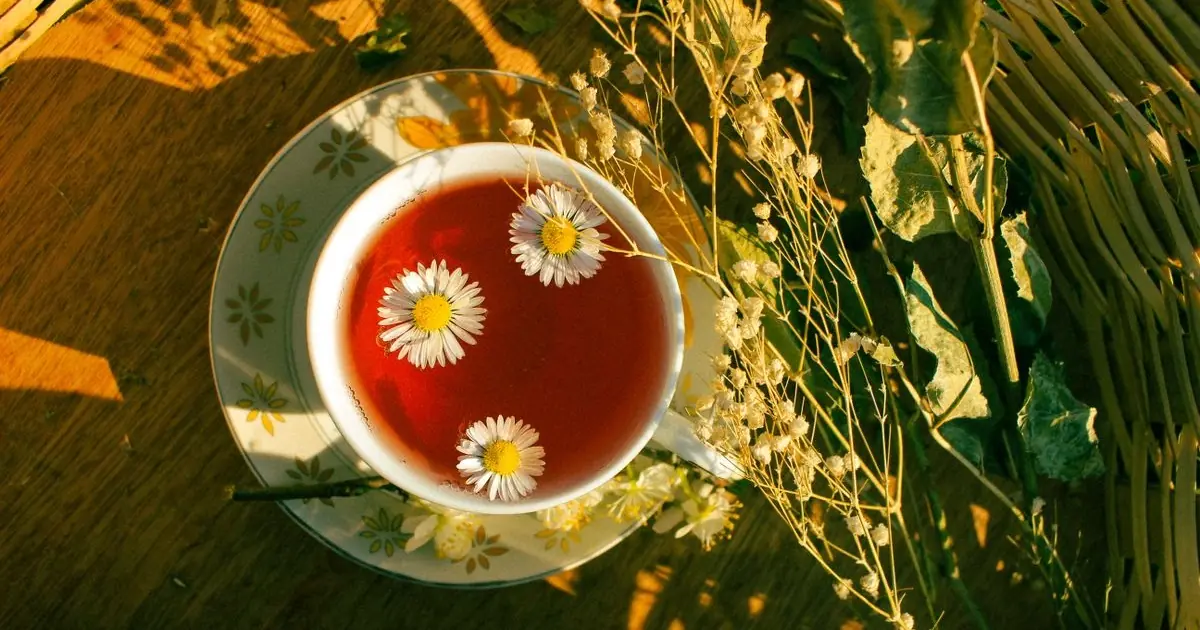 Lemon Balm and Chamomile for Sleep: Can This Herbal Tea Help You Relax Before Bed?