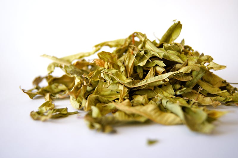 Lemon balm vs lemon verbena for sleep comparison showing fresh aromatic leaves