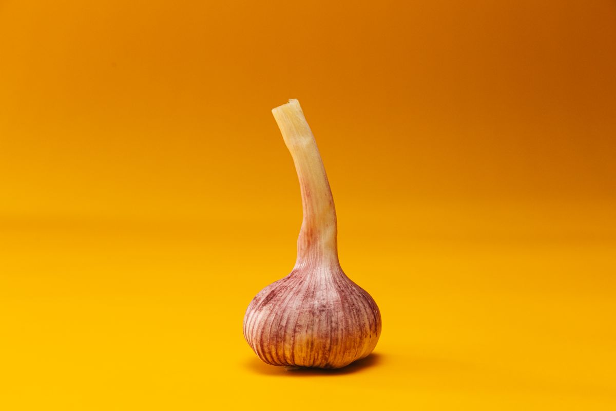 Is Garlic Safe for Kids? Benefits, Risks, and Safe Ways to Serve It