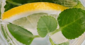Read more about the article What Does Lemon Balm Taste Like? Flavor, Aroma, and How to Use It in Cooking