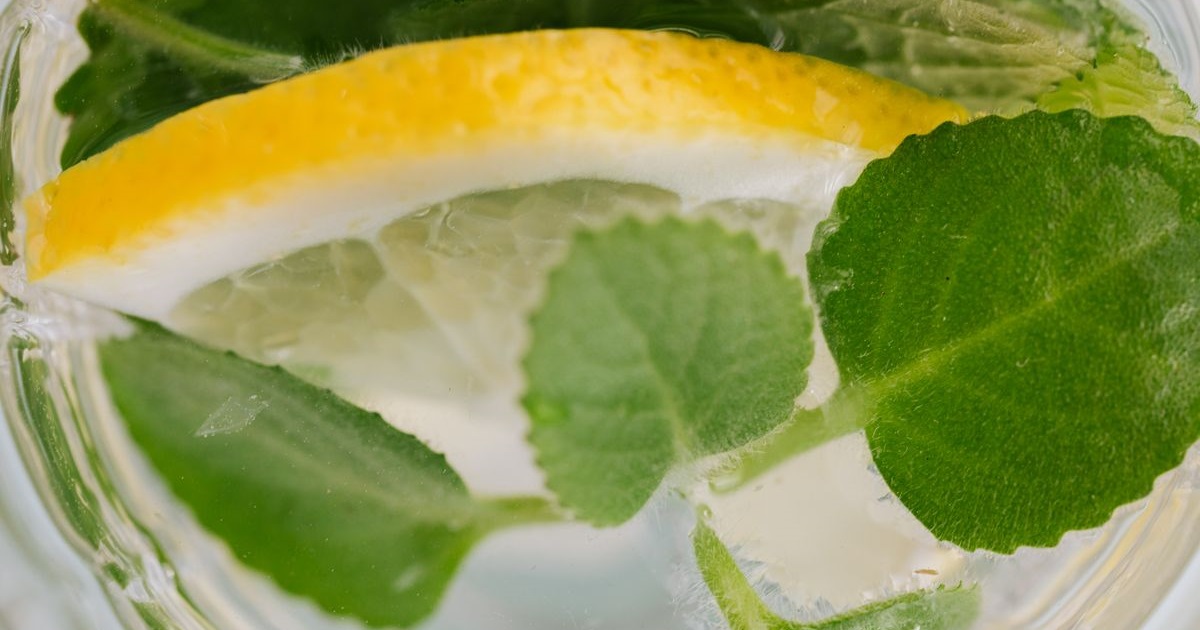 What Does Lemon Balm Taste Like? Flavor, Aroma, and How to Use It in Cooking
