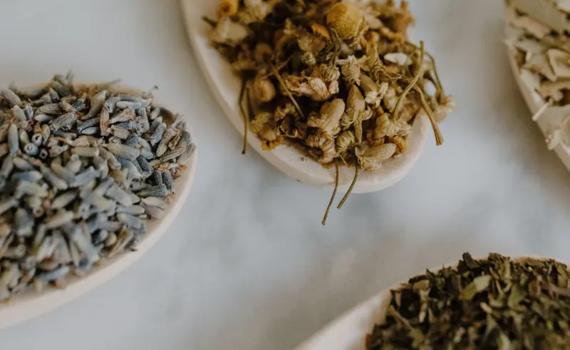valerian and other herbs on wooden spoons