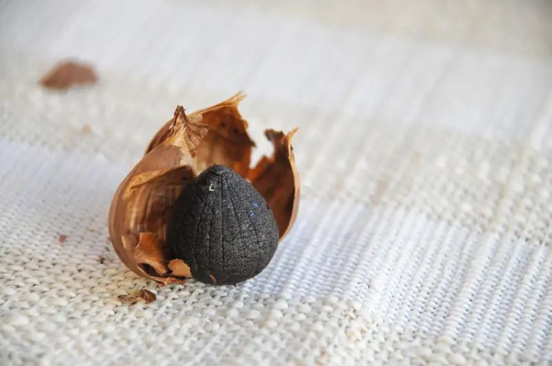 black garlic bulb