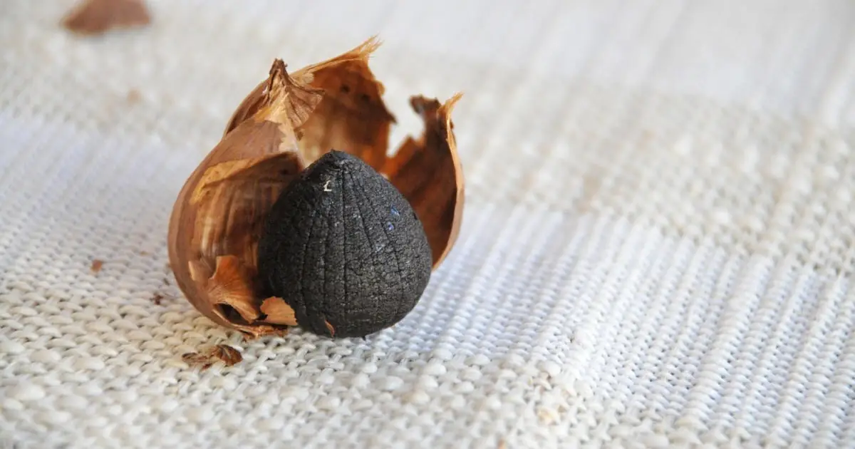 Black Garlic vs Regular Garlic: Taste, Nutrition, and Health Benefits