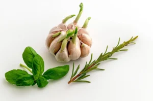 Read more about the article Can You Eat Sprouted Garlic? Is It Safe and What About Green Garlic?