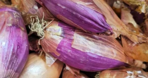 Read more about the article Garlic vs Shallot: Nutrition, Health Benefits, and Differences