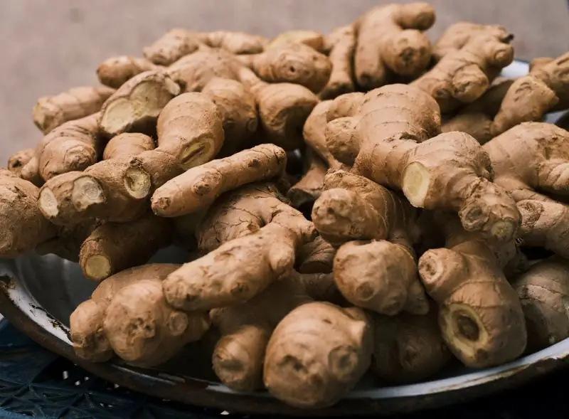ginger rhizomes close up