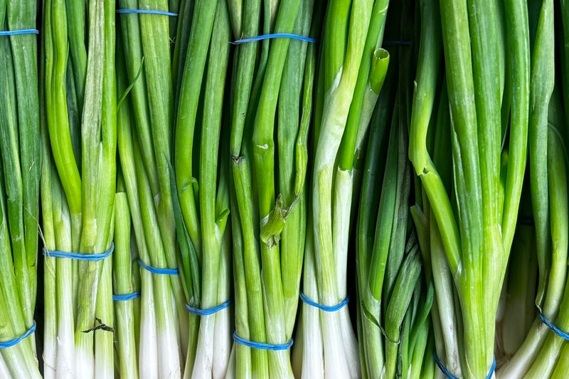 fresh green onions