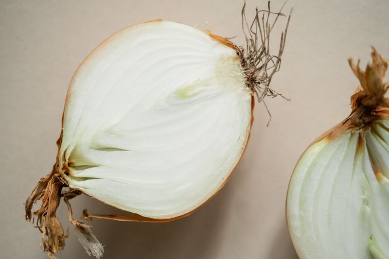 yellow onion cut in half close up