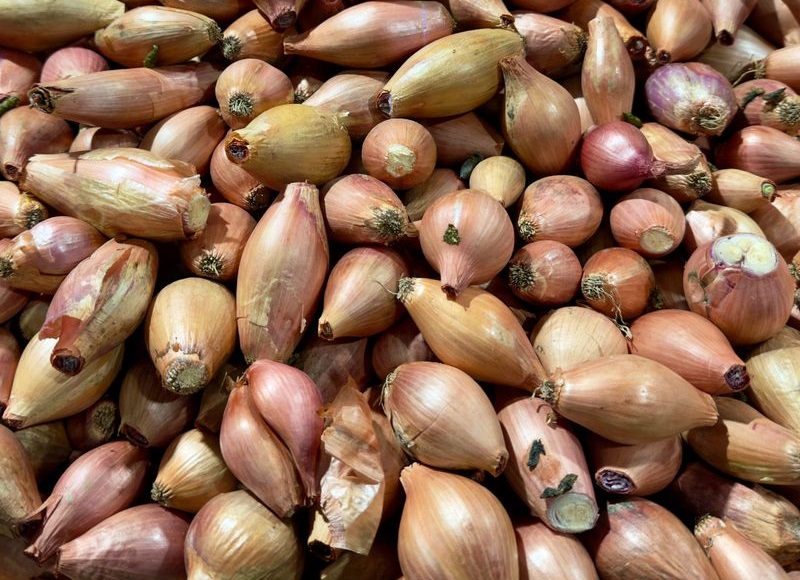a lot of shallots