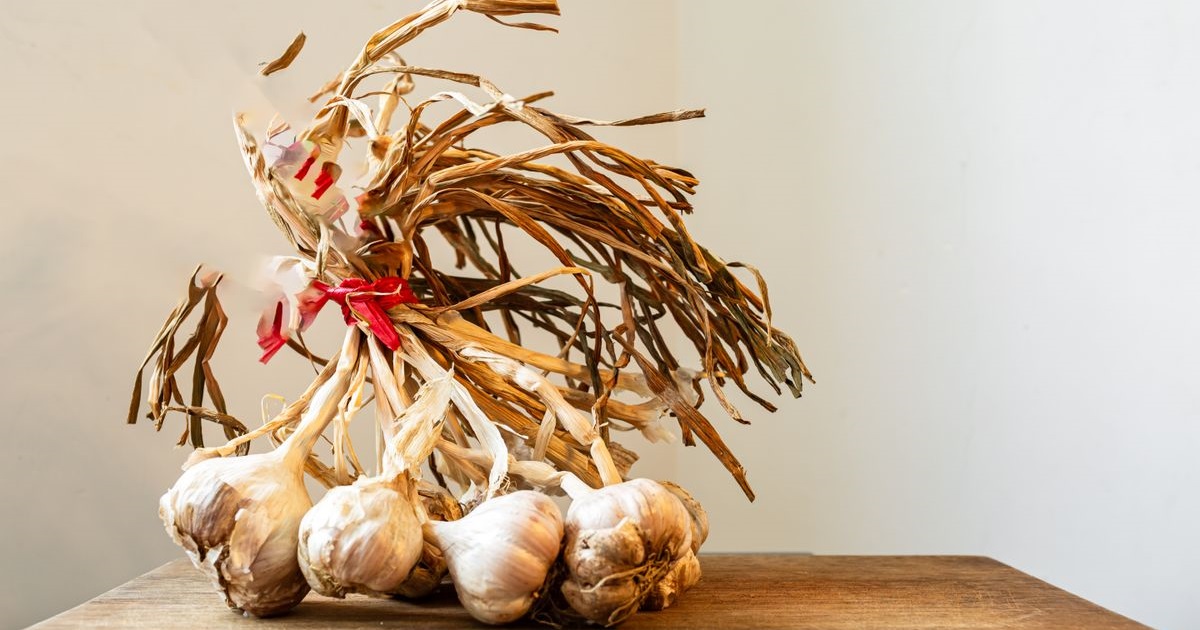 Read more about the article Who Should Not Eat Garlic? – 9 People Who Need to Avoid It