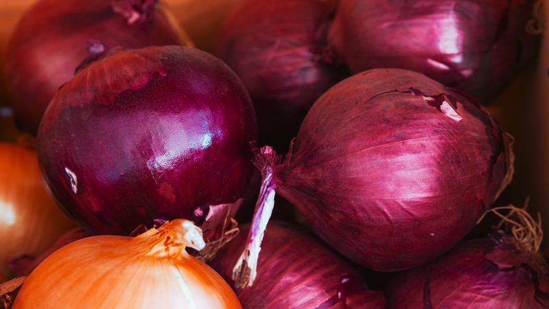 whole red onion close up